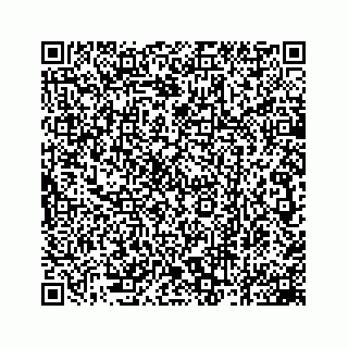 vCard 78162931209