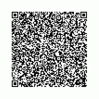 vCard 78162931227