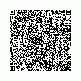 vCard 78162931235