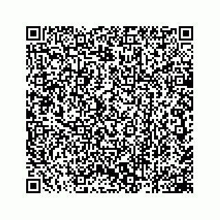 vCard 78162931259