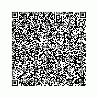 vCard 78162931271