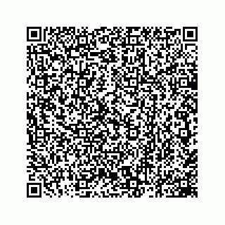 vCard 78162931275