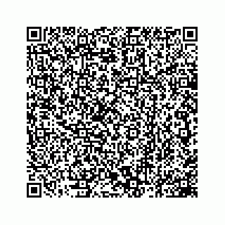 vCard 78162931277