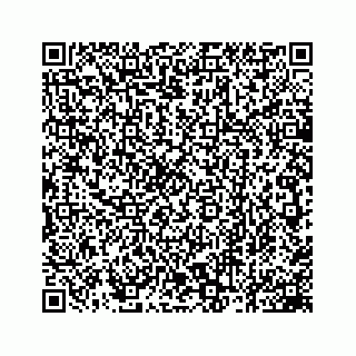 vCard 78162931279