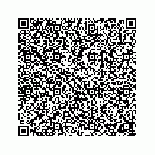 vCard 78162931280