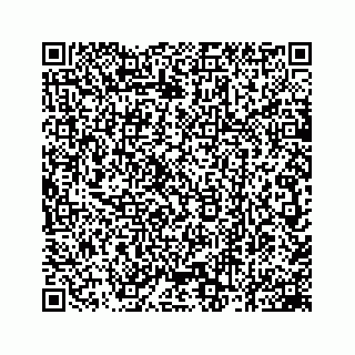 vCard 78162931286
