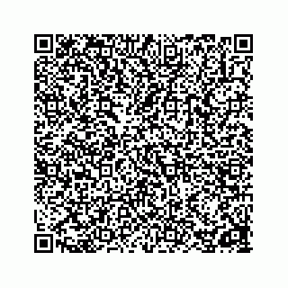 vCard 78162931291