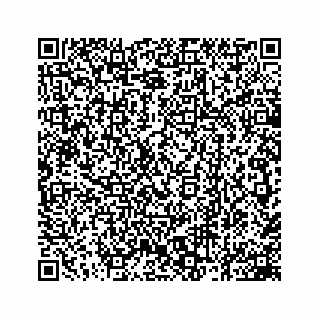 vCard 78162931299