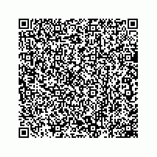vCard 78162931301
