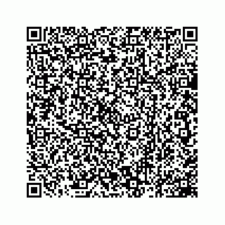 vCard 78162931303