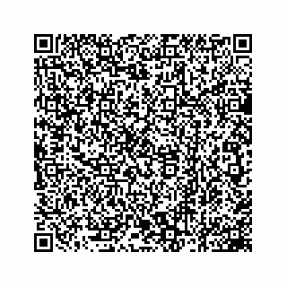 vCard 78162931306