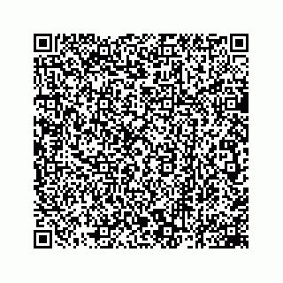vCard 78162931307