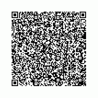 vCard 78162931308
