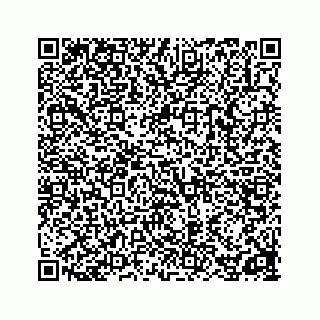 vCard 78162931313