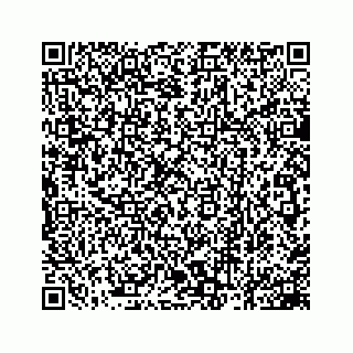vCard 78162931315