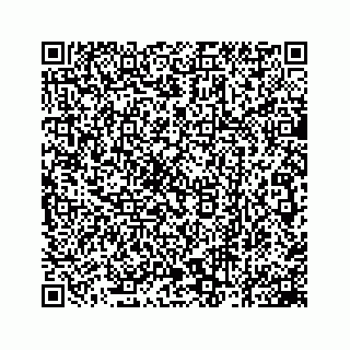vCard 78162931319