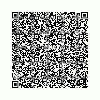 vCard 78162931328