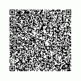 vCard 78162931331