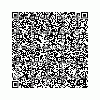 vCard 78162931333