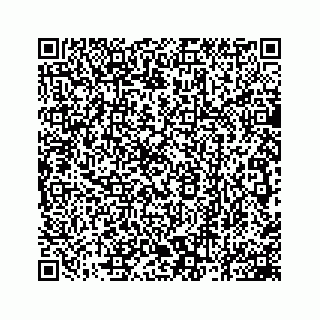 vCard 78162931337