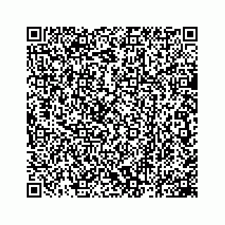 vCard 78162931341