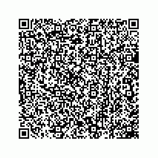 vCard 78162931345