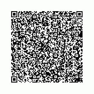 vCard 78162931358