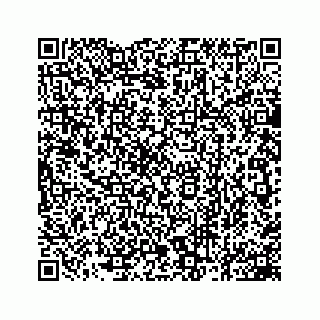 vCard 78162931363