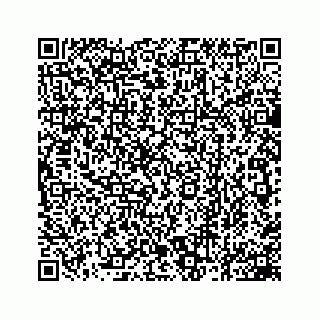vCard 78162931377