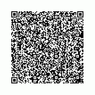 vCard 78162931379
