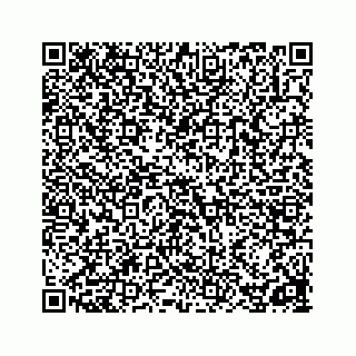 vCard 78162931380
