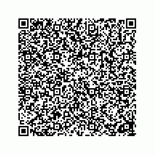 vCard 78162931381