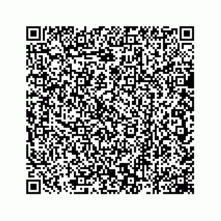 vCard 78162931383