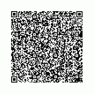 vCard 78162931384