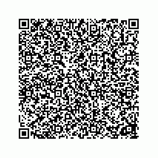 vCard 78162931385