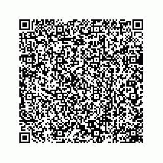 vCard 78162931386