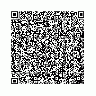 vCard 78162931387