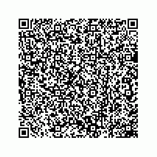 vCard 78162931388