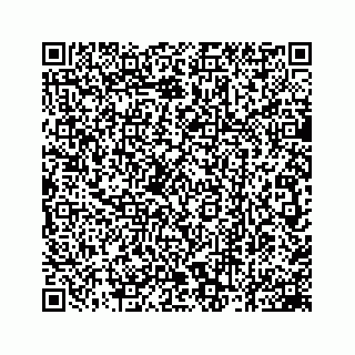 vCard 78162931389