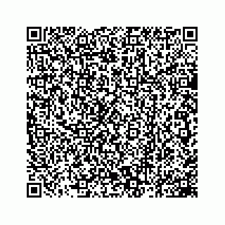 vCard 78162931392