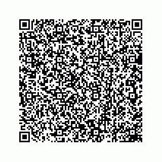 vCard 78162931393