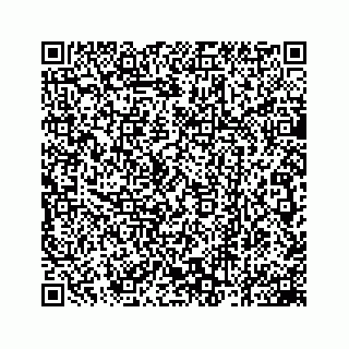 vCard 78162931395