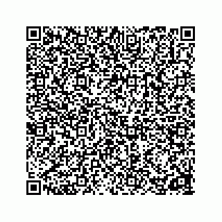 vCard 78162961313