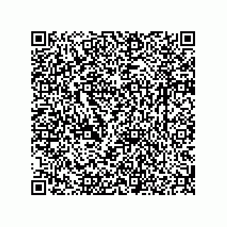 vCard 78165142100