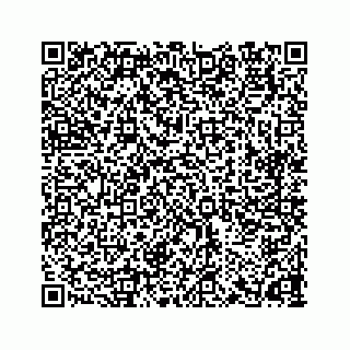 vCard 78165237173