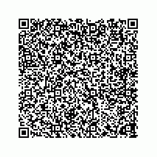 vCard 78165237313