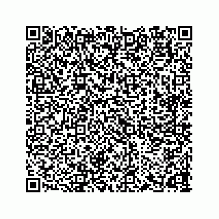 vCard 78165237317