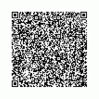 vCard 78165237381