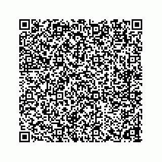 vCard 78165237386