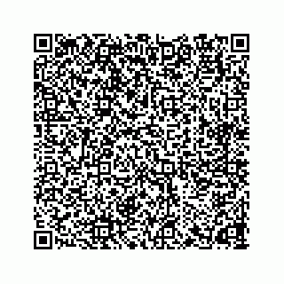 vCard 78165237393